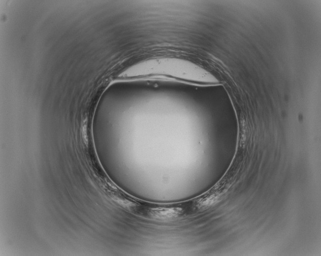 X0000060580267200512011740