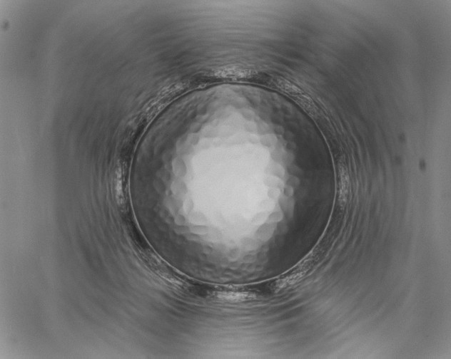 X0000060580268200512011740