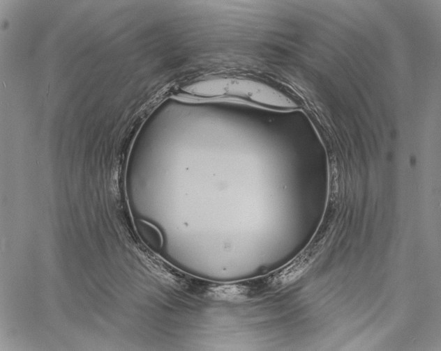 X0000060580269200512011740