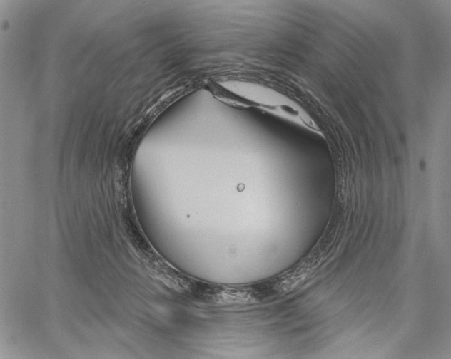 X0000060580270200512011740