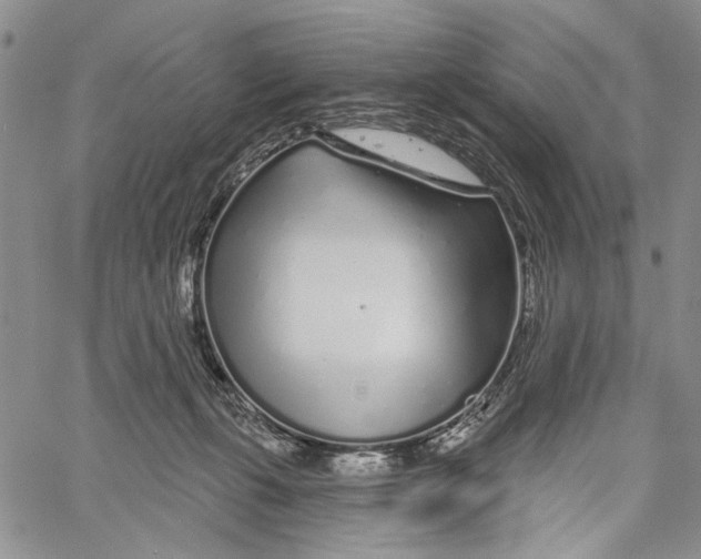 X0000060580271200512011740