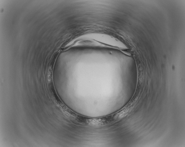 X0000060580273200512011740