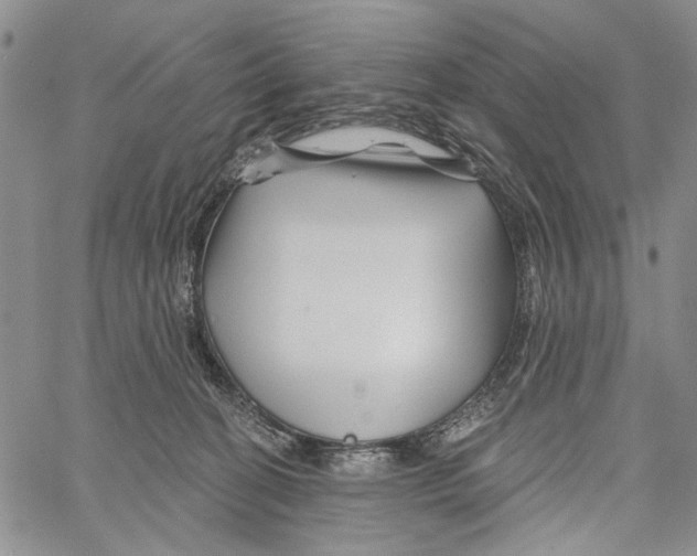 X0000060580274200512011740