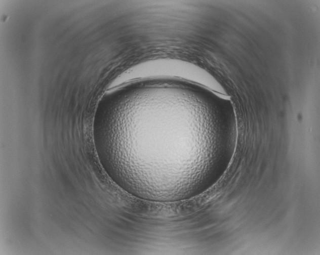 X0000060580276200512011740