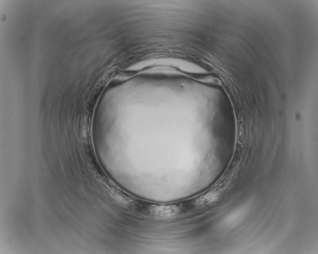 X0000060580277200512011740