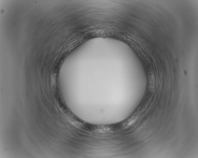 X0000060580278200512011740