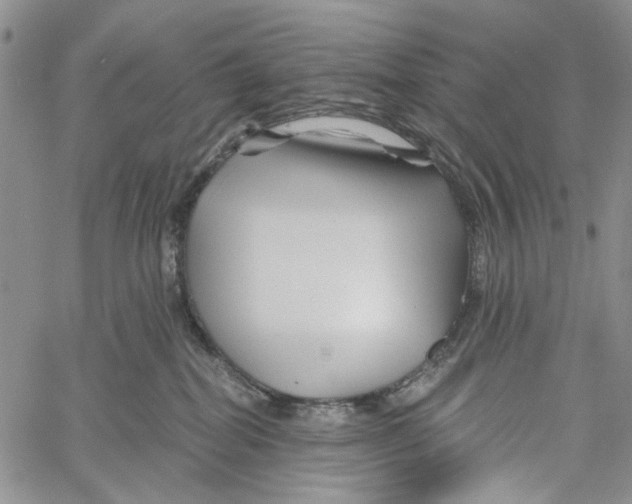 X0000060580282200512011740