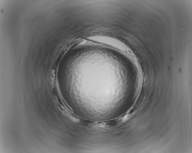 X0000060580284200512011740