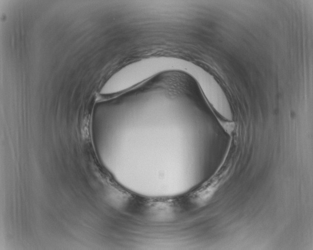 X0000060580285200512011740