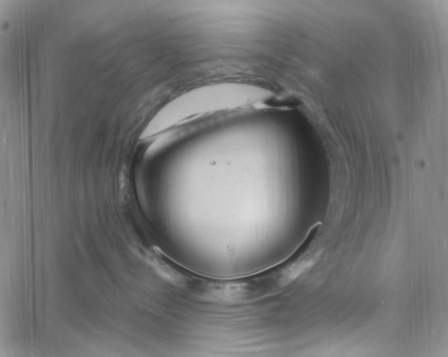 X0000060580288200512011741