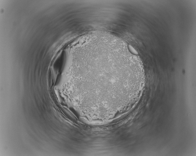 X0000060580290200512011740