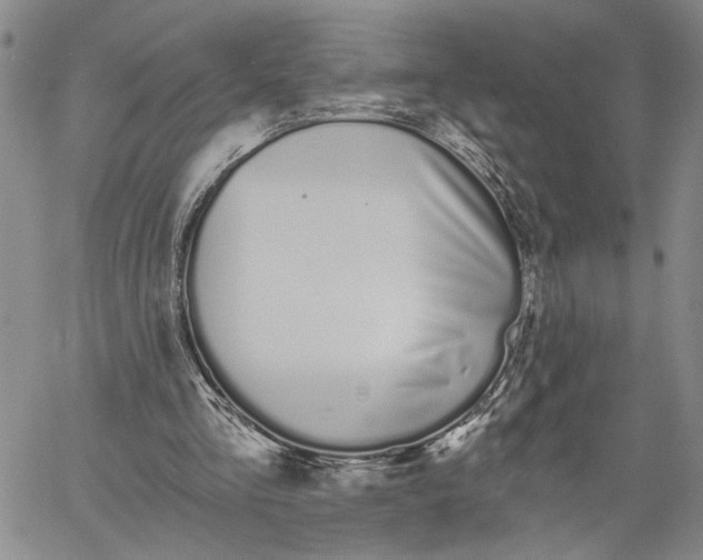 X0000060580293200512011740