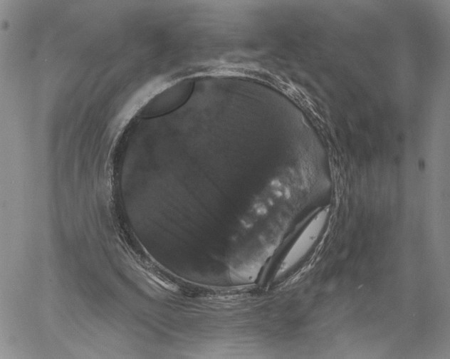 X0000060580295200512011740