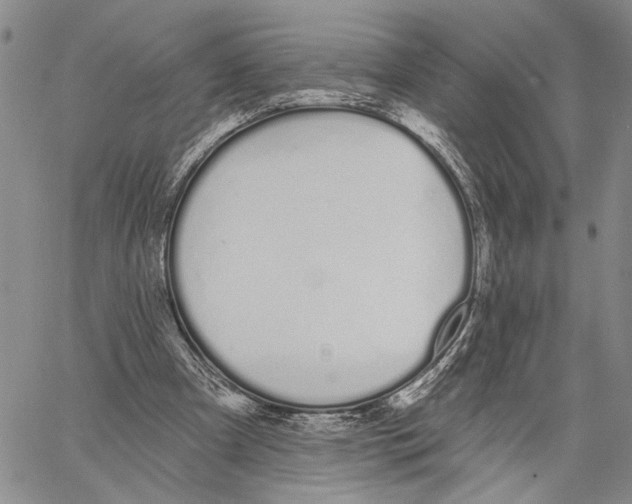 X0000060580297200512011740