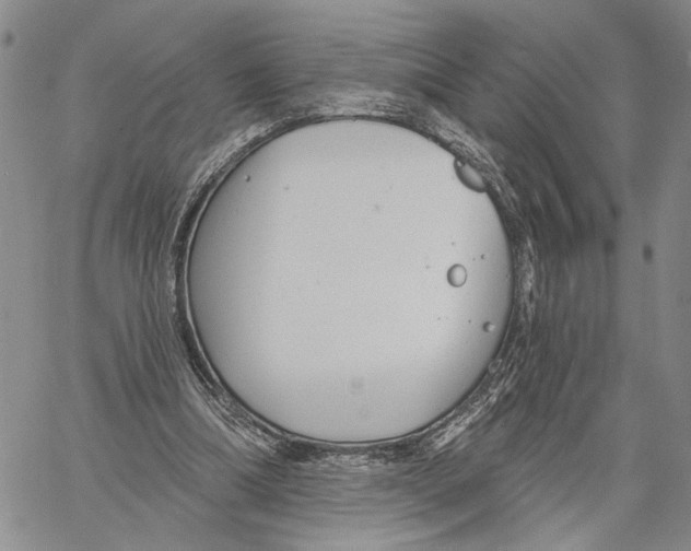 X0000060580298200512011740