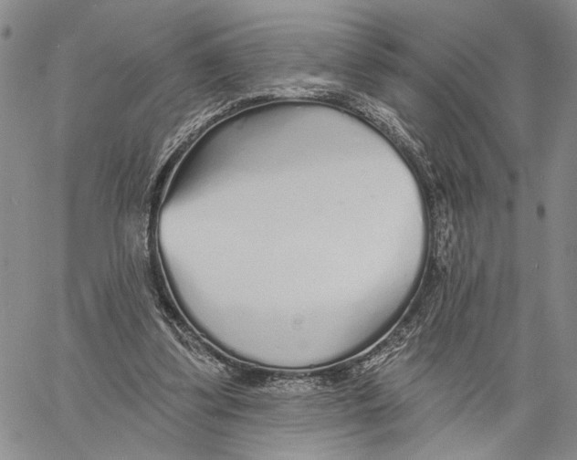 X0000060580299200512011740