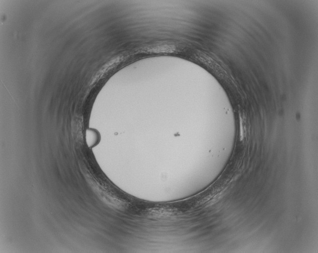 X0000060580300200512011740