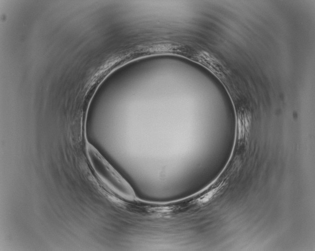 X0000060580301200512011740