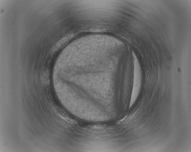 X0000060580303200512011739