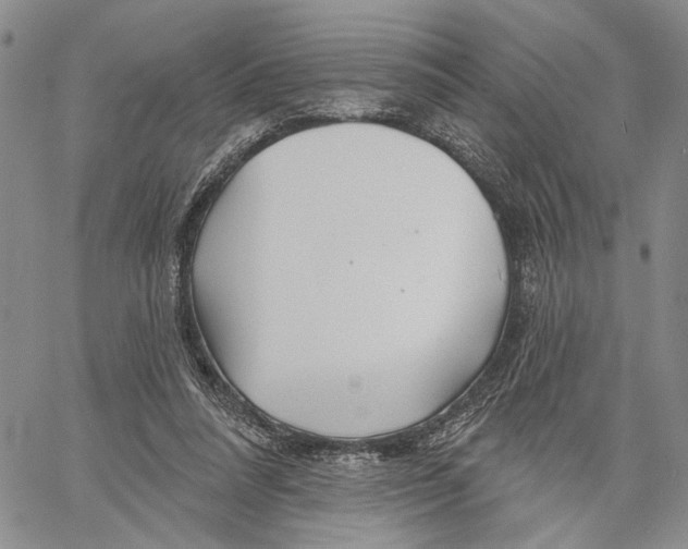 X0000060580304200512011739