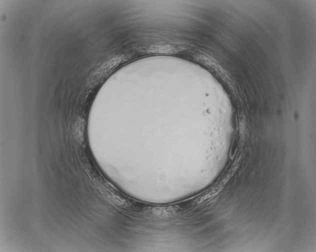 X0000060580305200512011739