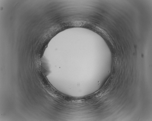 X0000060580307200512011739