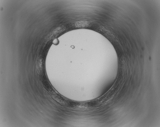 X0000060580308200512011739