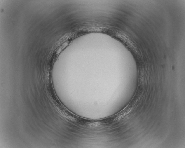 X0000060580309200512011739