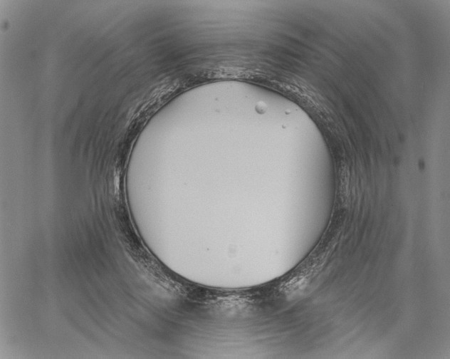 X0000060580310200512011739