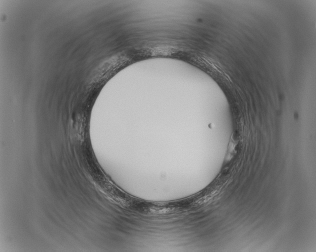 X0000060580311200512011739