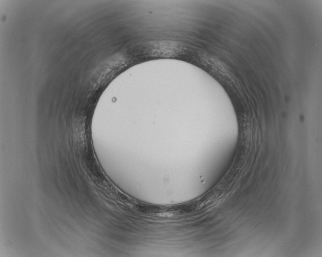 X0000060580312200512011739