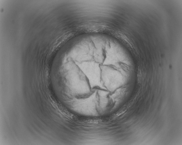 X0000060580314200512011739