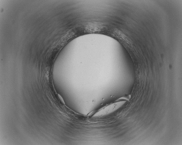 X0000060580315200512011739