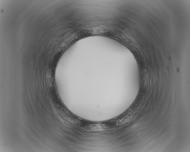 X0000060580316200512011739