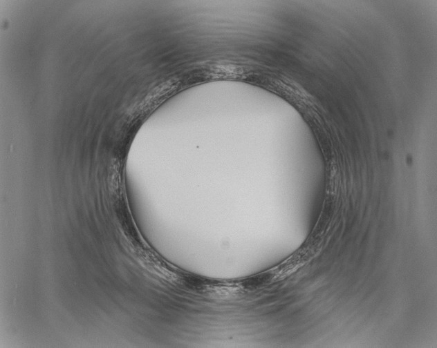 X0000060580318200512011739