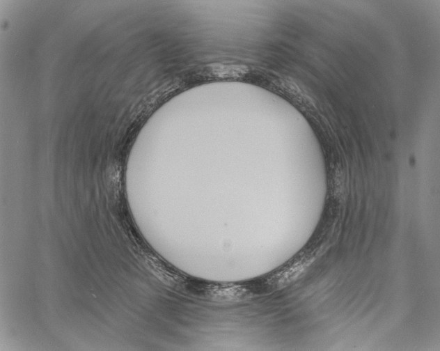 X0000060580321200512011739