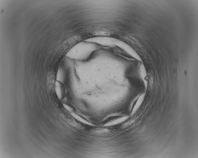 X0000060580322200512011739