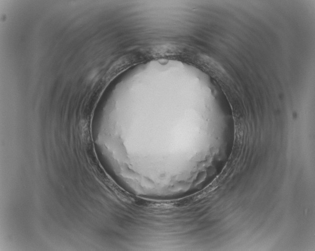 X0000060580327200512011739