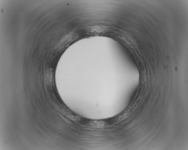 X0000060580328200512011739