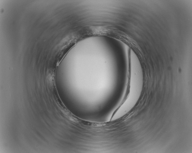 X0000060580329200512011739