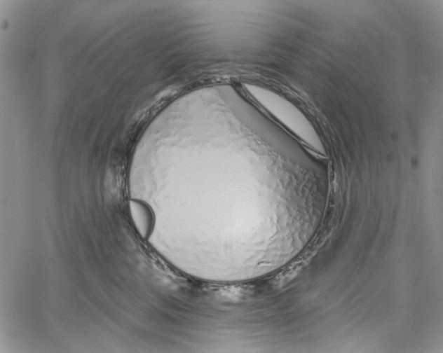 X0000060580330200512011739