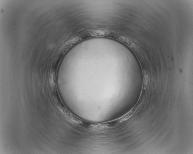 X0000060580331200512011739