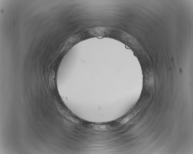 X0000060580332200512011739