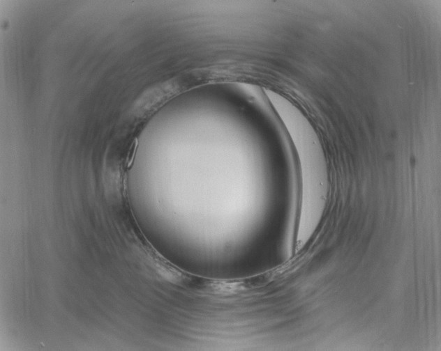 X0000060580333200512011739