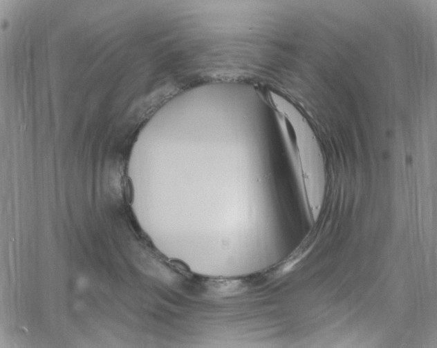 X0000060580334200512011739