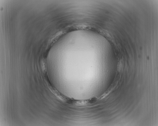 X0000060580335200512011739