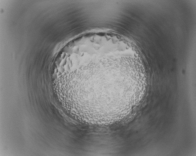 X0000060580337200512011738