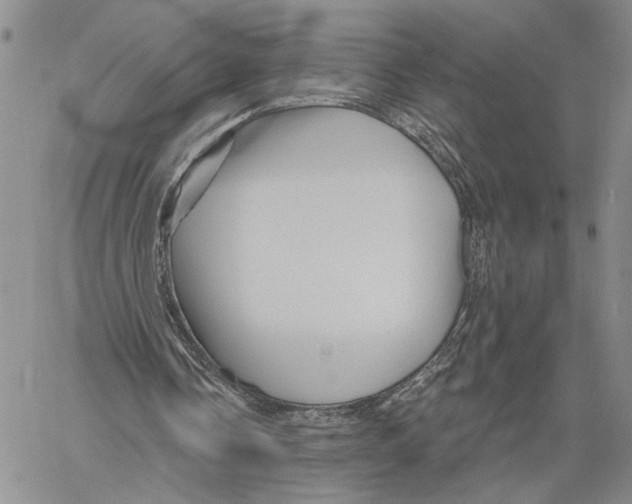 X0000060580338200512011738