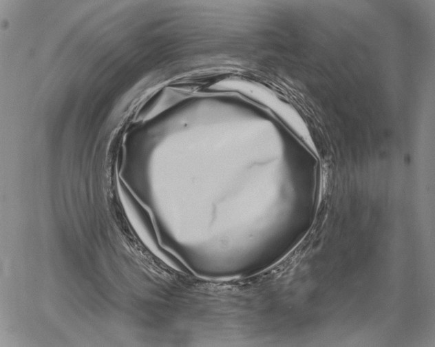 X0000060580339200512011738