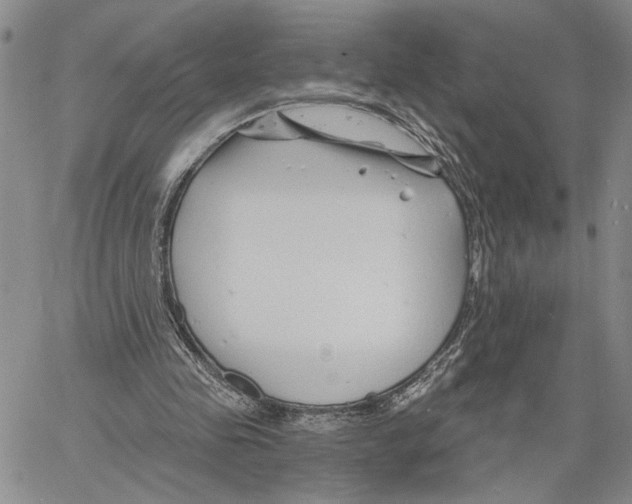 X0000060580341200512011738